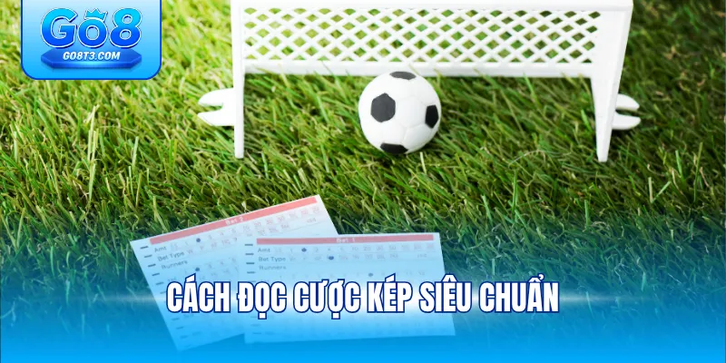 Cách đọc cược kép siêu chuẩn