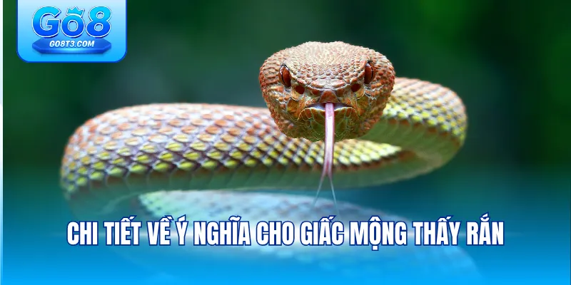 Chi tiết về ý nghĩa cho giấc mộng thấy rắn